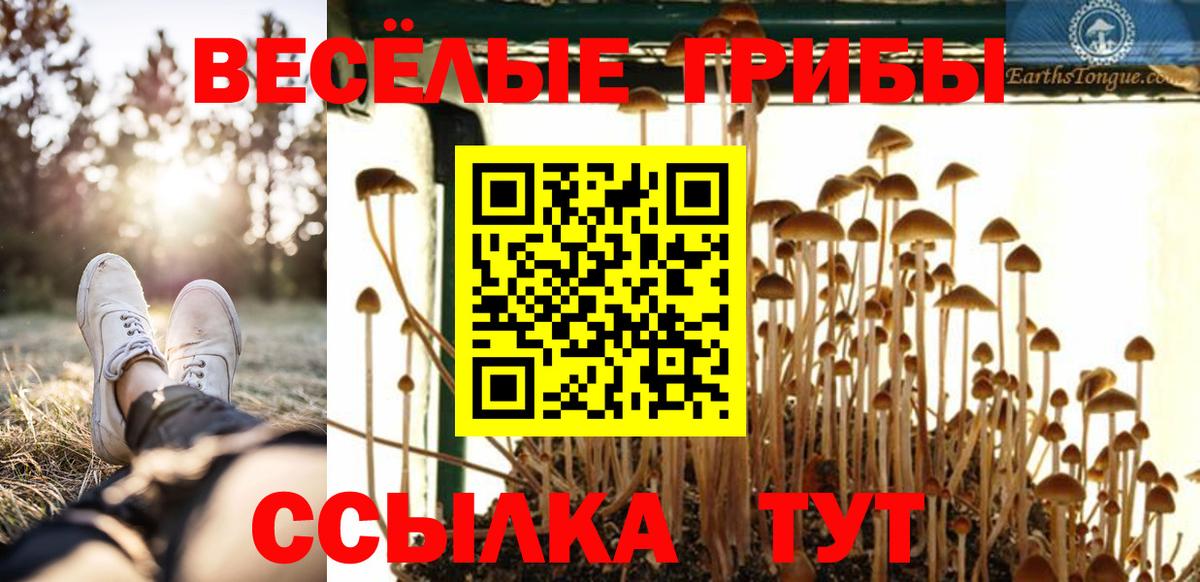 где купить наркоту  Вход с VPN  Рубцовск  Галлюциногенные грибы Magic Shrooms 